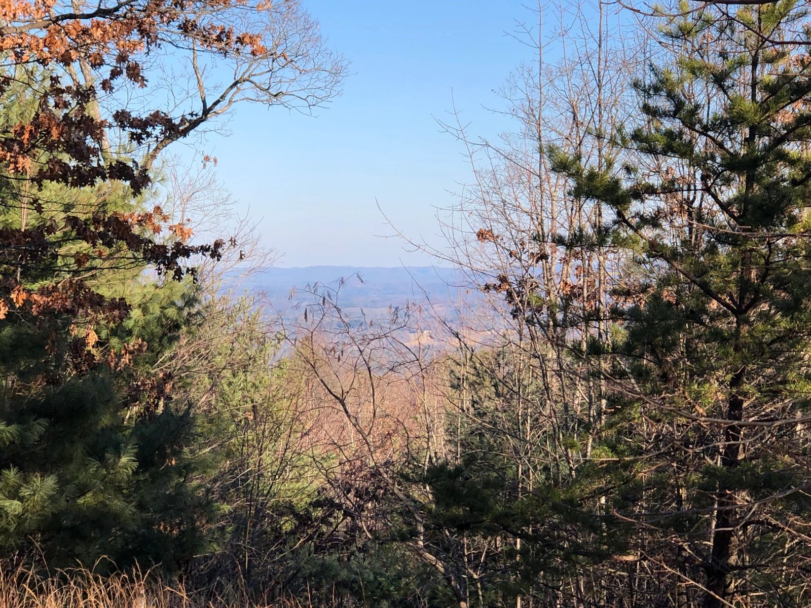 Elk Horn 82 listing image