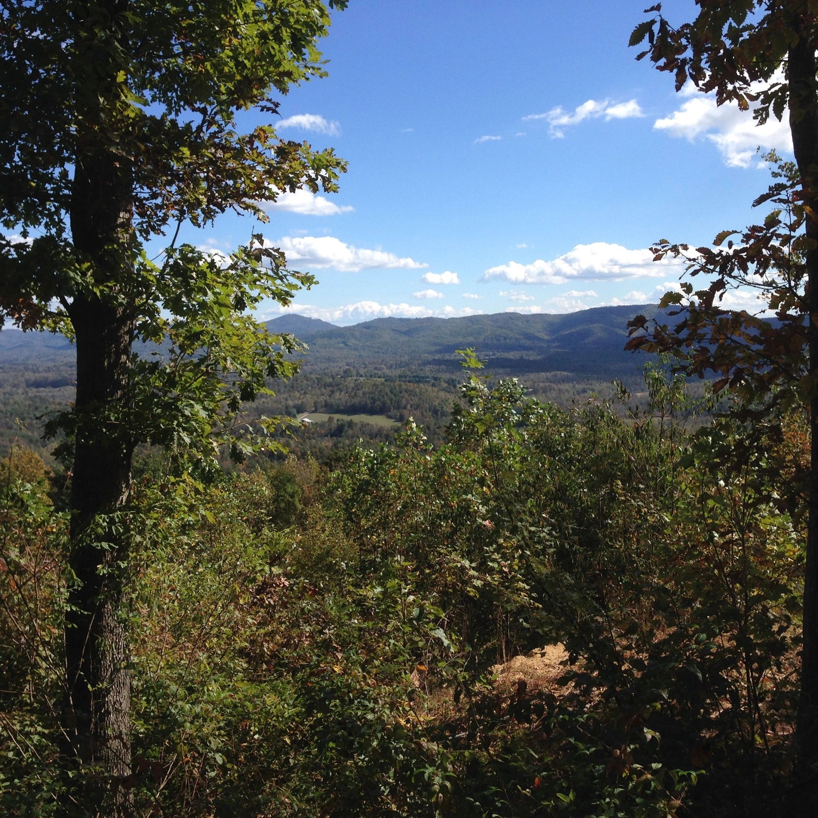 Mountain view through the trees from the Pinnacle 19 photo gallery
